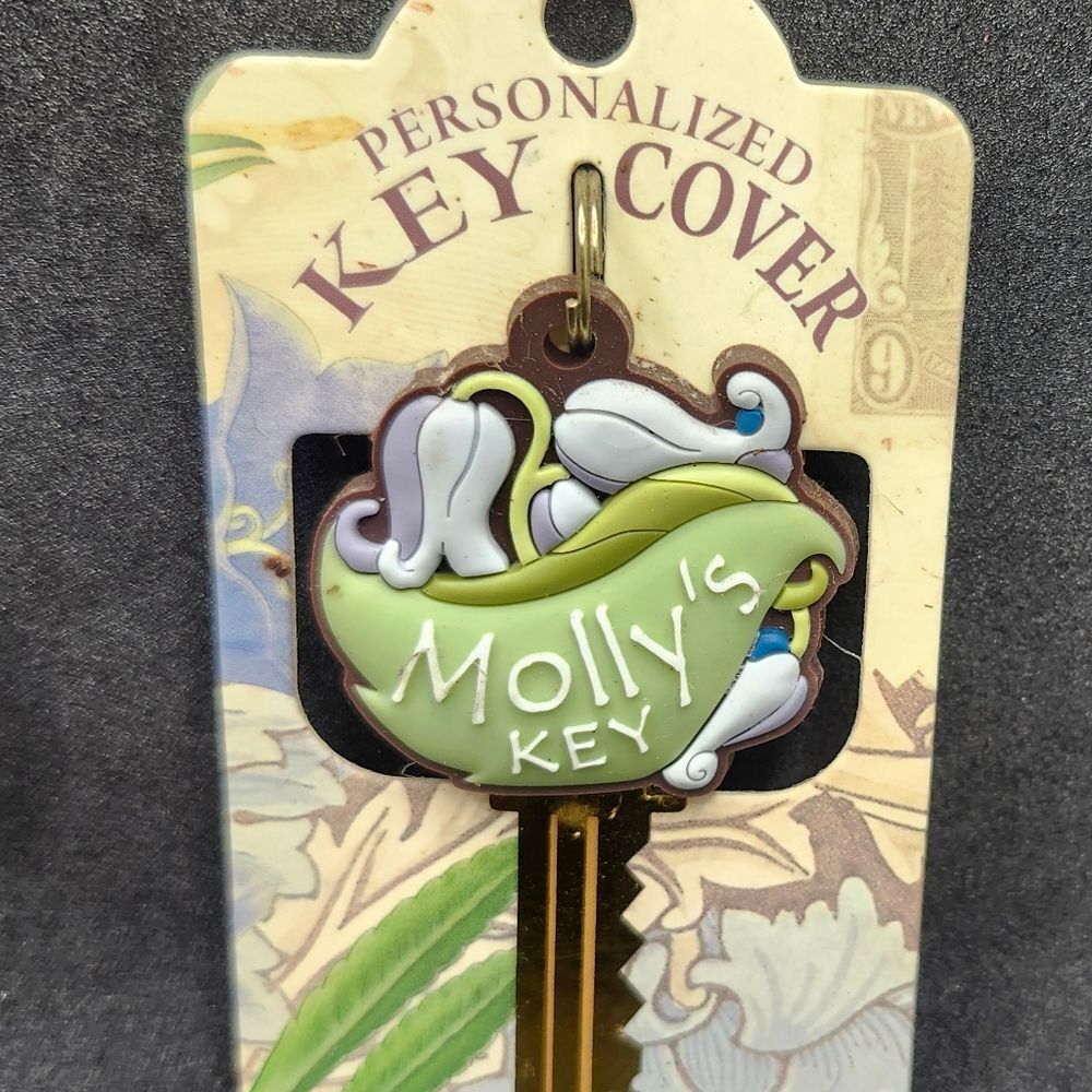 Molly Key Cover